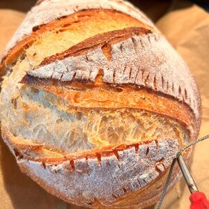 Dehydrated Sourdough Restock